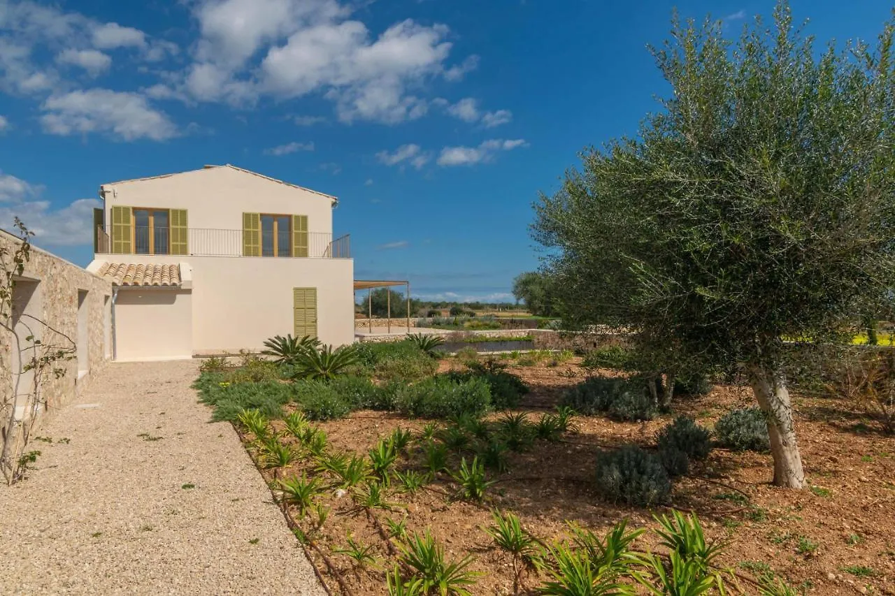 Can Mosca Cala Mandia  Villa